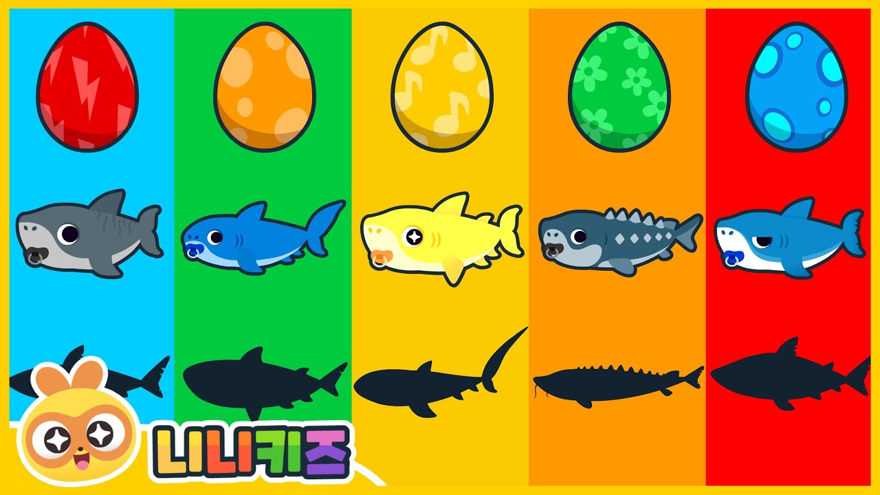 [영어] 아기상어가 어른이 되면? | 그림자 상어 놀이 | 레몬상어? 망치상어? 고래상어? | 상어 맞추기 | 단어 놀이 | 니니키즈 NINIkids