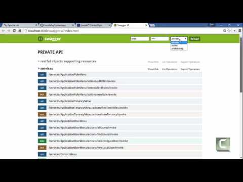 Apache Isis Custom Mobile apps, leveraging Swagger integration.