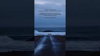 Varlık Bir Medresedir