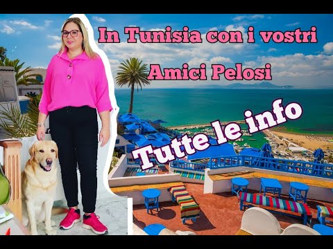 Video: Cosa Portare Dalla Tunisia