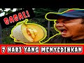 Projek Fertigasi Rock Melon | 7 Hari yang menyedihkan, Projek kami gagal!