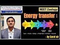 Energy transfer by Sarat sir | Sarat chandra NEET Academy | Best Medical Academy in Vijayawada