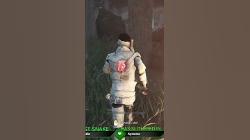 w 360 | #snakefromthedead on #Twitch