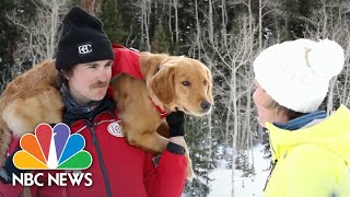 Rescue dogs train to save lives during an avalanche screenshot 2