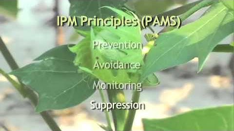 Integrated Pest Management