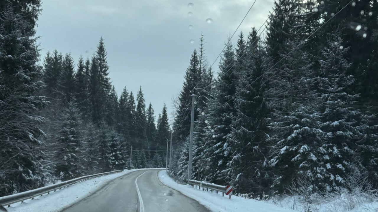 Карпати. Верховина.          