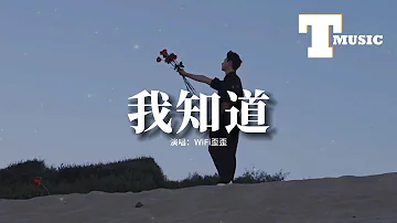 WiFi歪歪 - 我知道（原唱：By2）『我知道你還是愛著我，雖然 分開的理由我們都已接受。』【動態歌詞MV】