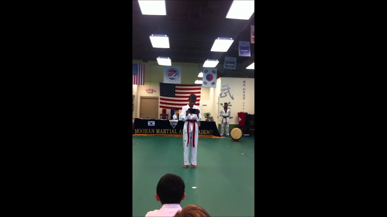 Black belt essay