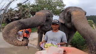 MOTOCYCLES TO ELEPHANTS !!THIALAND!!