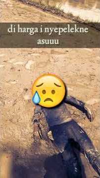 Story wa keren..dancok kabeh