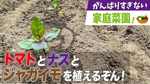 古屋悟司 Youtube