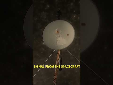 The Surprising Signal