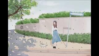 只是太愛你/Zhi shi tai ai ni  - 丁芙妮 1 HOUR --- Chỉ vì quá yêu anh - Đinh Phù Ny --- FULL LYRIC