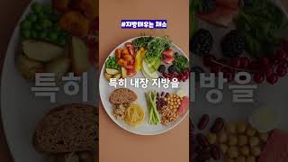 내장 지방 쏙쏙빼는 채소 5가지, 이건 꼭 드세요! #건강정보 #뇌건강 #간건강 #건강 #채소