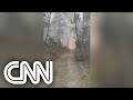 Bombeiros combatem incêndio em parque de São Paulo | CNN DOMINGO