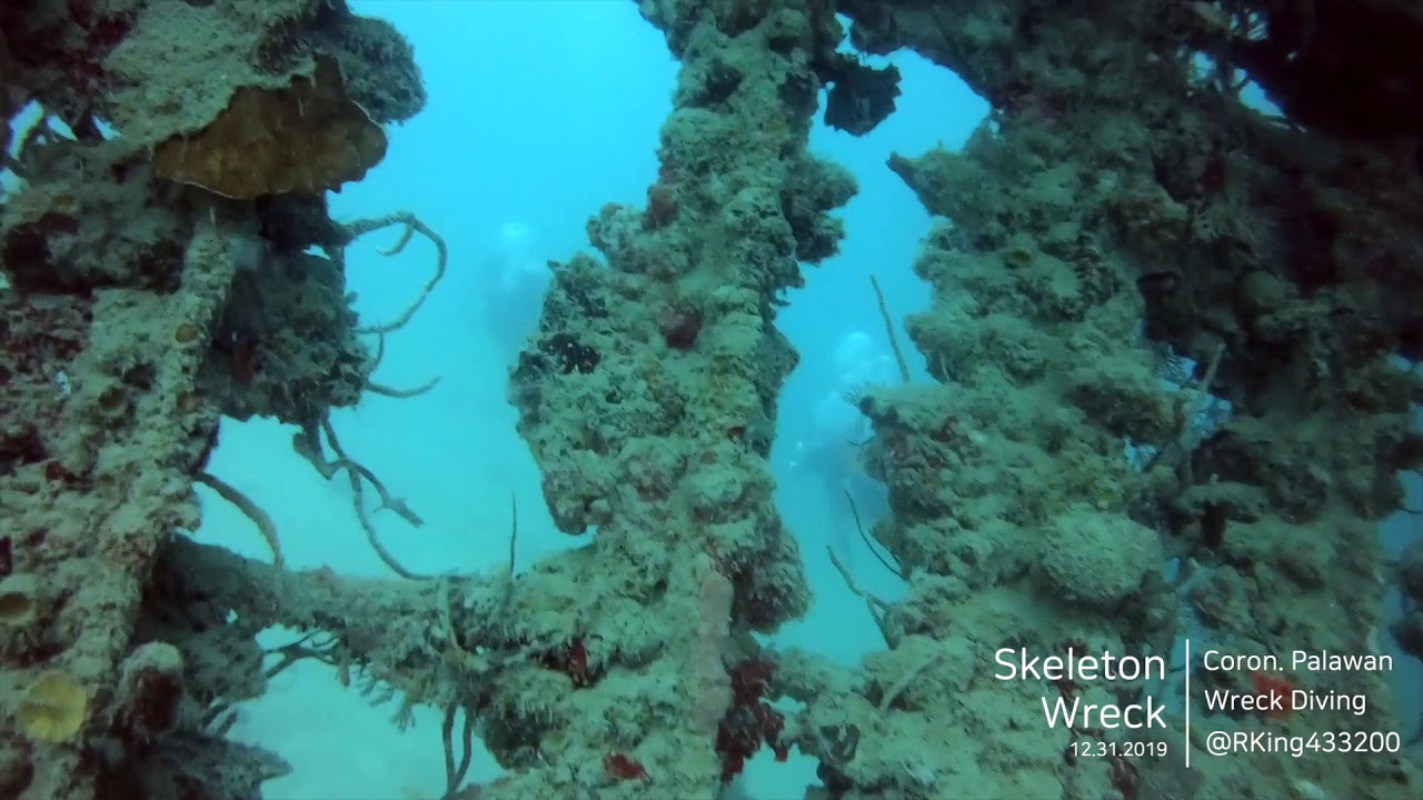 코론 난파선 Coron - Skeleton Wreck Diving 스킨스쿠버 다이빙 by RKing - YouTube