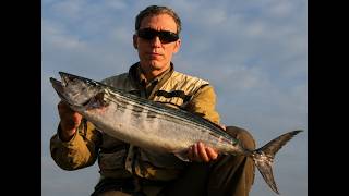 Ep. 70: Harbor fishing for Sierra mackerel