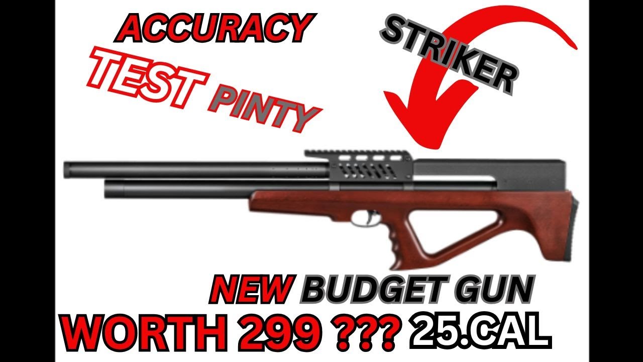 PINTY TACTICAL PINTY STRIKER .25 CAL ACCURACY TEST