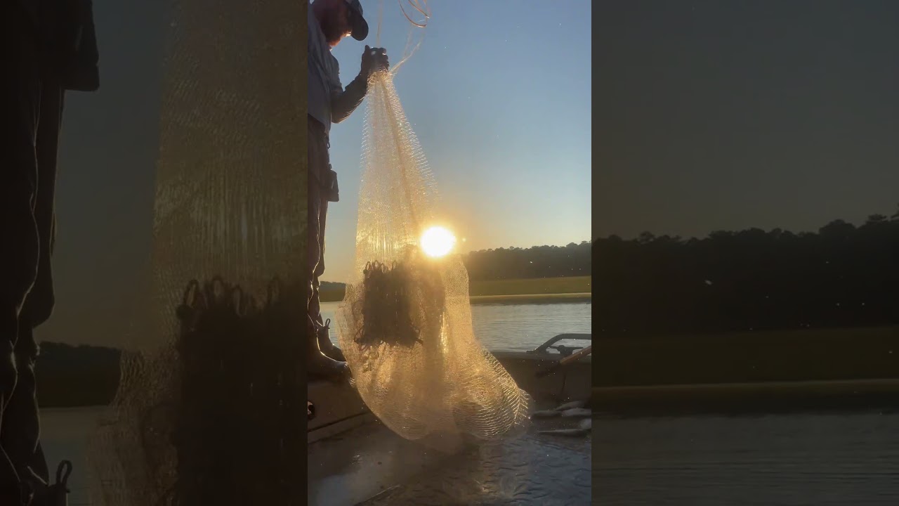 SlowMo + Castnet + Sunset 👌#slowmotion #sunset #fishing