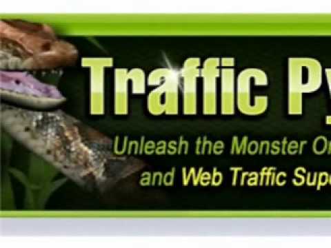 Is TrafficPython a SCAM?