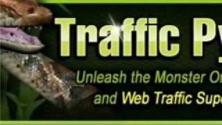 Is TrafficPython a SCAM?