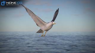 3D Animated Seagull