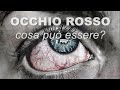 OCCHIO ROSSO: cosa può essere?