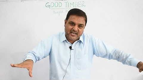 English XI: Good Timber (Part 1)