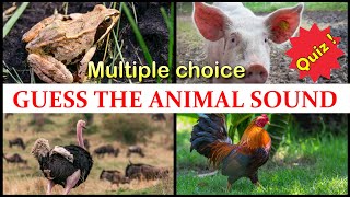 Guess The Animal Sound Game 20 Animal Sounds Quiz Multiple Choice #5 screenshot 4