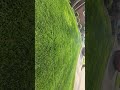 LAWN CARE VS LAWN I DONT CARE.....WHICH ONE ARE YOU ? #mowing #lawncare #StihlGettinIt #MowMoneyTeam