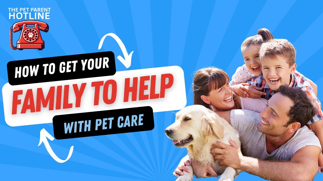 Why You're Still Doing All the Pet Care (and How to Get Your Family to Step Up) Why You're Still Doing All the Pet Care (and How to Get Your Family to Step Up)