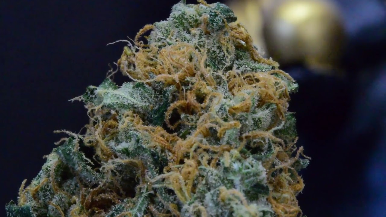 Artisan Batch Peaches and Cream Kush strain