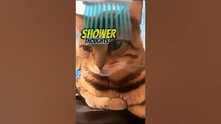 Video 6214951: cat pets meow funny, pet shower
