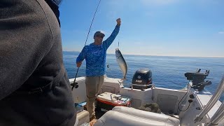 Mackerel Fishing Washington State.  IGFA World Record by Peeling Line 743 views 7 months ago 6 minutes, 26 seconds