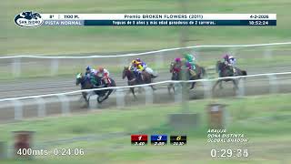 Vidéo de la course PMU PRIX BROKEN FLOWERS 2011