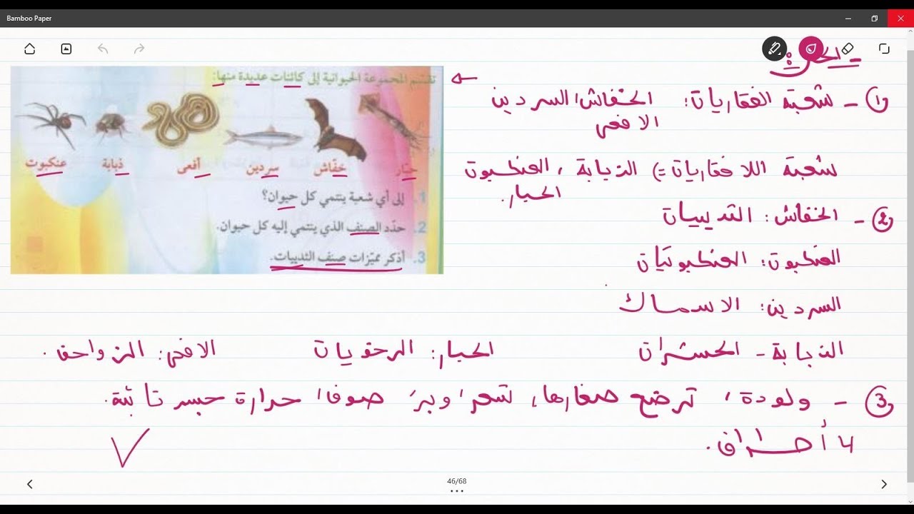 علوم طبيعية الثانية متوسط تمرين حول تصنيف الحيوانات