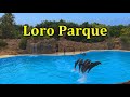 PUERTO DE LA CRUZ, TENERIFE, LORO PARQUE