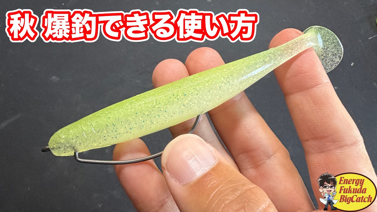 【バス釣り】秋に爆釣できるおすすめルアーと使い方解説!(OSPドライブシャッド4.5インチの表層早巻き)