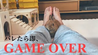 実は右足に爆弾を抱えている飼い主 #749
