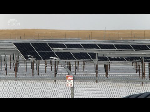 Major Lethbridge solar projects approved by AUC | Tuesday, February 11, 2025 | Landon Hickok | BCN