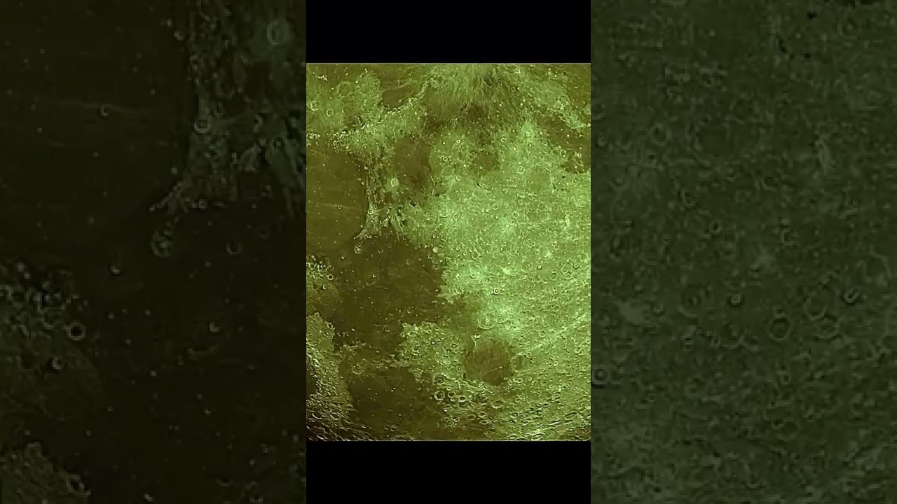 Full Moon July 2022 Craters And Mountains YouTube full-moon-july-2022-craters-and-mountains-youtube