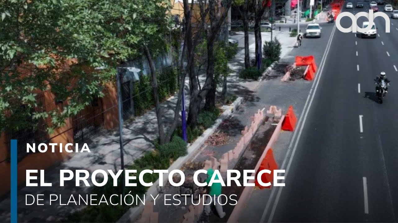 La ciclovía de Calzada de Tlalpan está causando afectaciones y riesgos