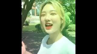 Cewek korea nyanyi lagu jawa