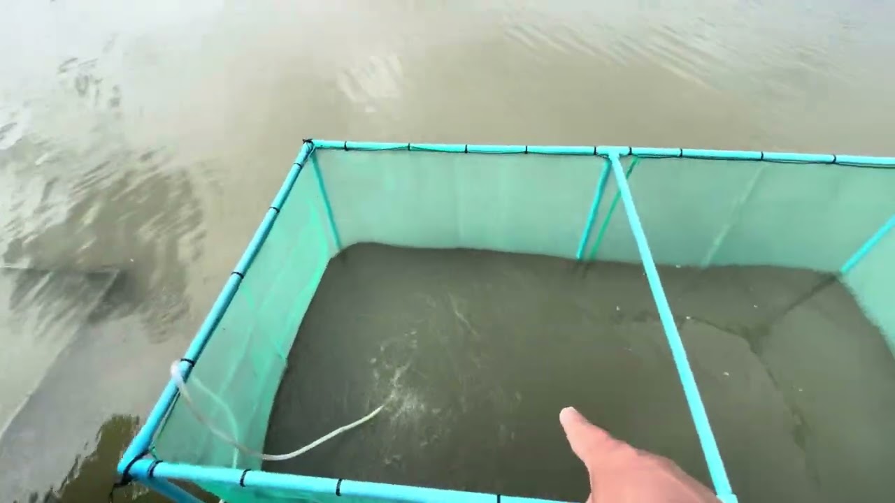 Estilo De Pesca Tailandés ( Float Fishing w/micro bread bait)