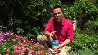 Set & forget garden feeding