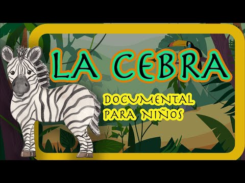 LA CEBRA 🦓 | Videos educativos para niños | Los animales | Documentales para niños hqdefault