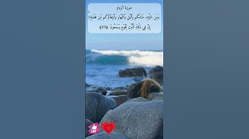 ومن آياته منامكم بالليل والنهار | سورة الروم #دعاء_ورسالة