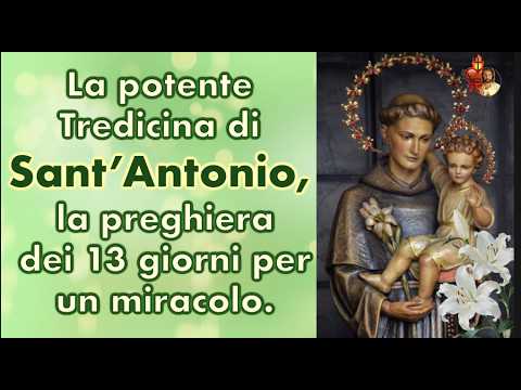 Video La potente Tredicina di SantAntonio, la preghiera dei 13 giorni per un miracolo