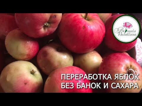 Как я перерабатываю яблоки без банок и без сахара