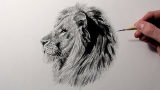 Cómo dibujar un León